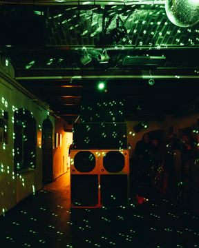 roots_in_the_woods (15)